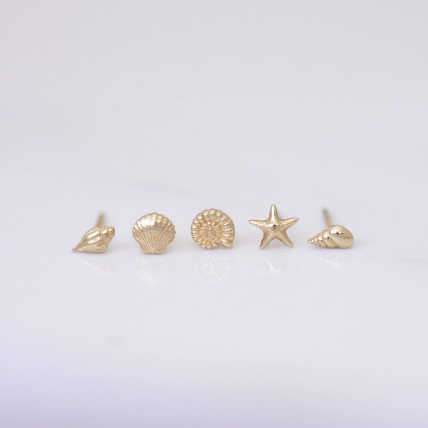 Scallop Shell Earring Stud in 14k gold