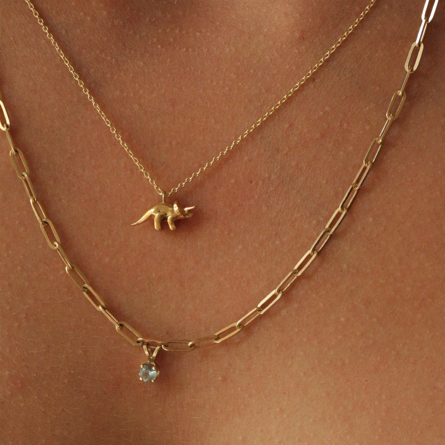 Triceratops necklace