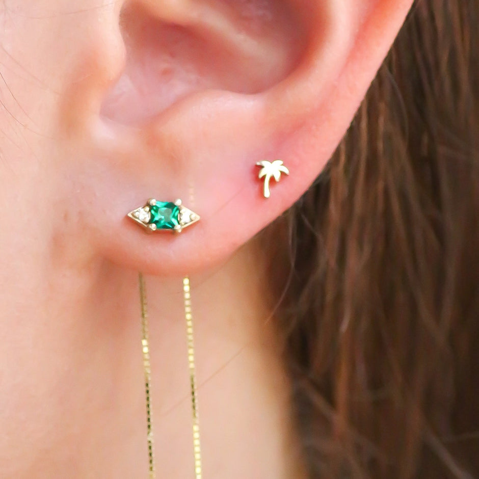 Signet Collection x Amit Vizel – Signet Collection IL