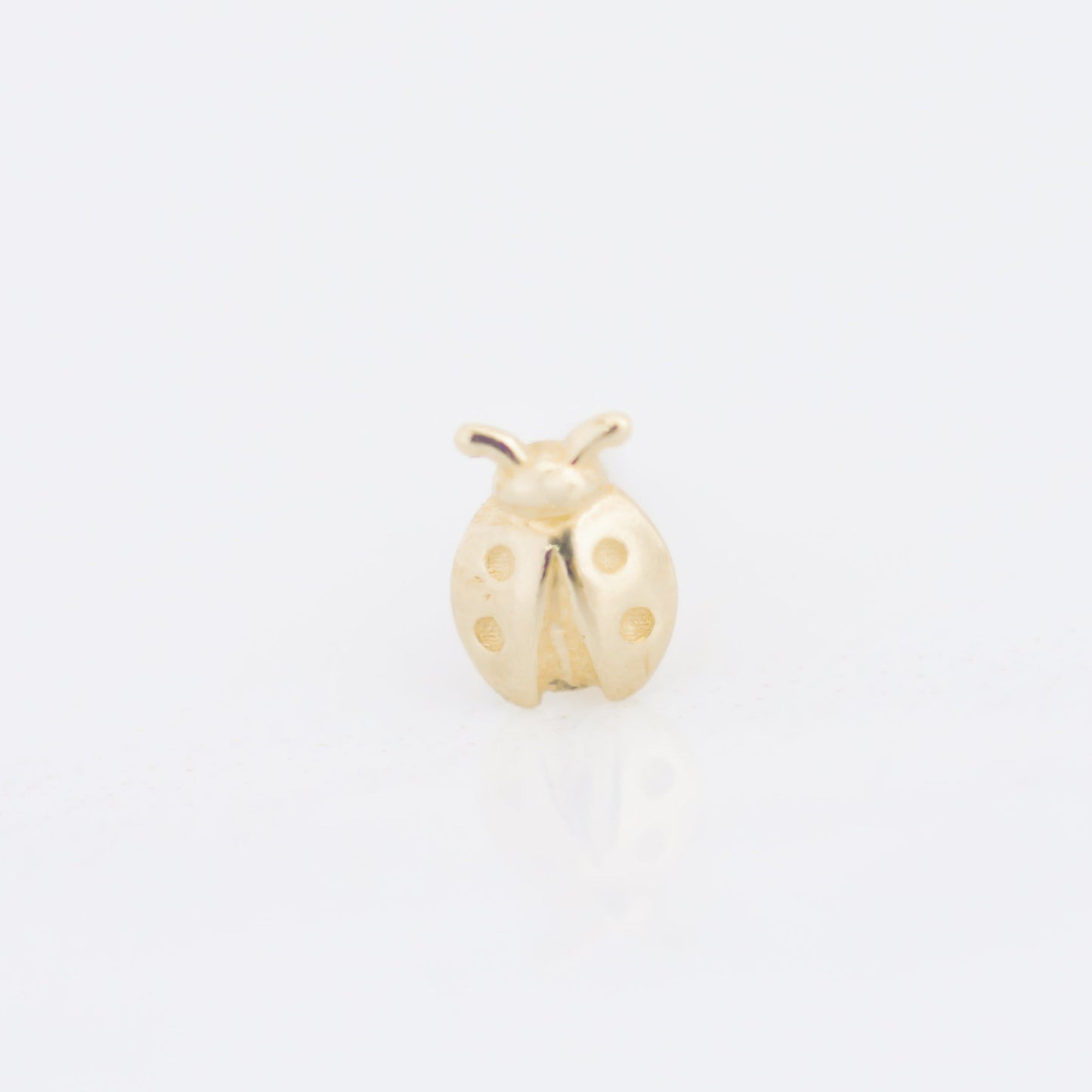 Ladybug earring stud 14k gold