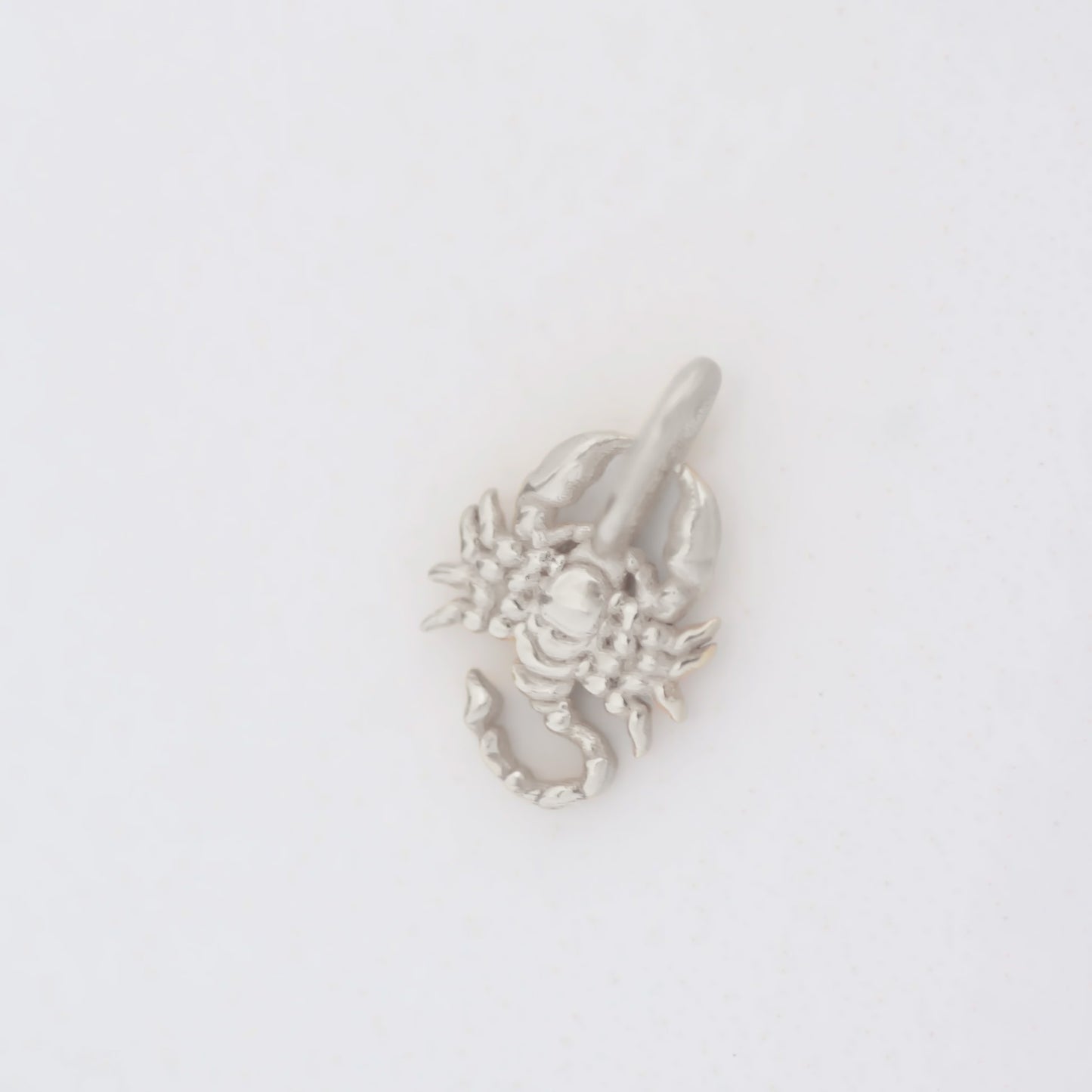 Scorpion Charm silver