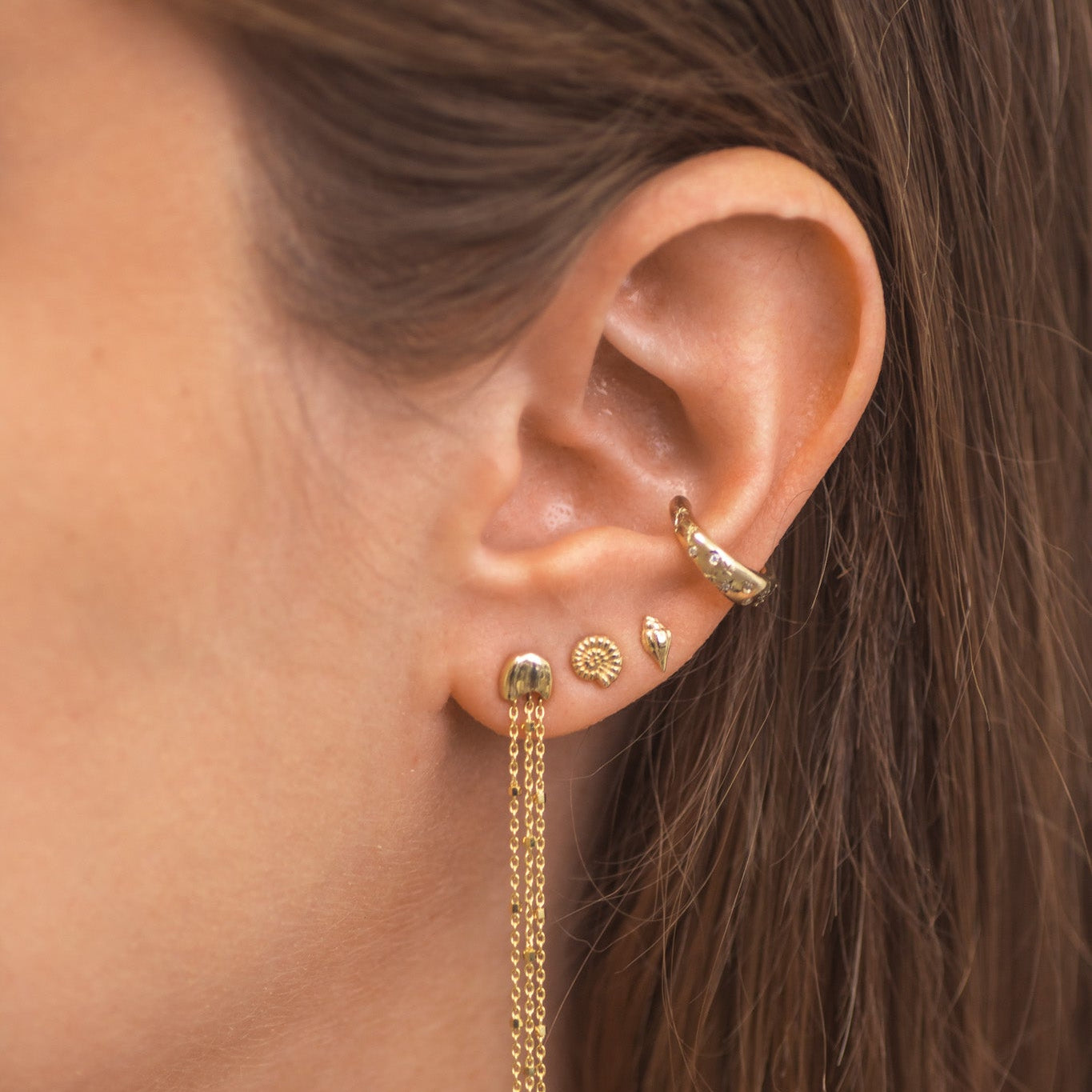 Nautilus Shell Earring Stud in 14k gold