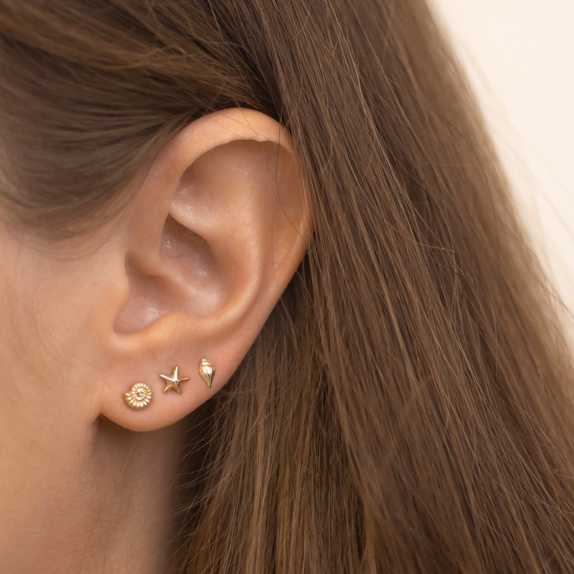 Nautilus Shell Earring Stud in 14k gold