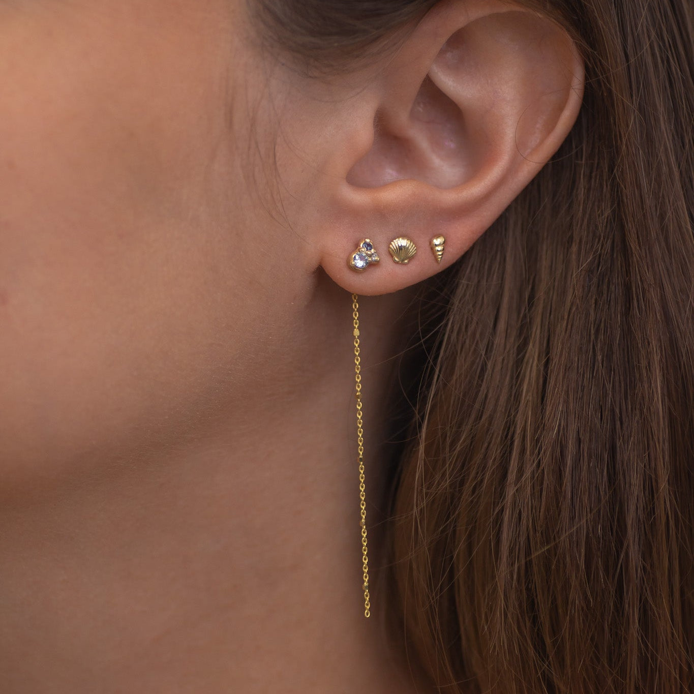 Scallop Shell Earring Stud in 14k gold