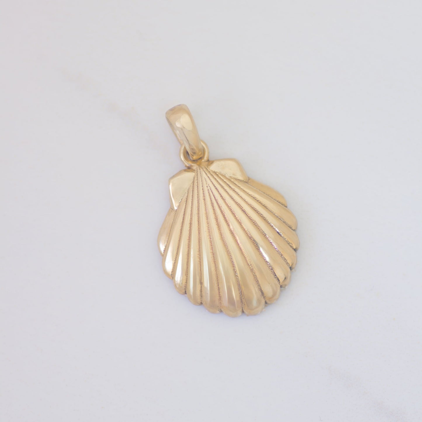 Scallop Seashell Pendant in 14K Gold