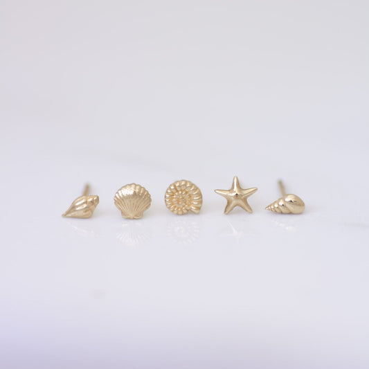 Mini Seashell Studs Set in 14k gold