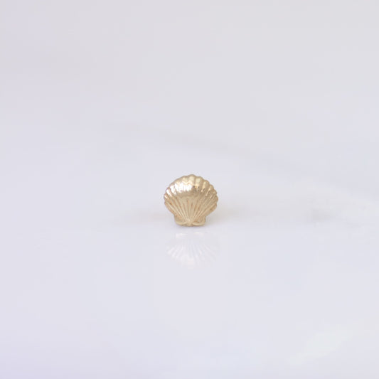 Scallop Shell Earring Stud in 14k gold