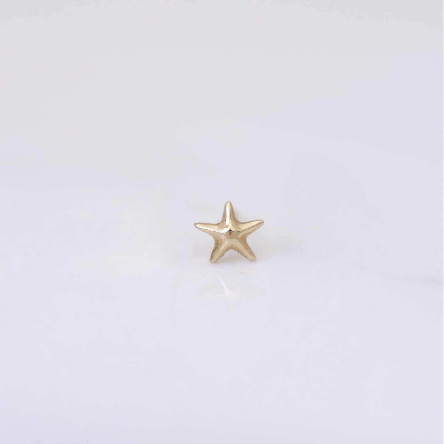 Starfish Earring Stud in 14k gold