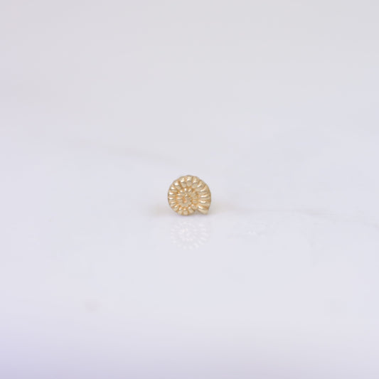 Nautilus Shell Earring Stud in 14k gold