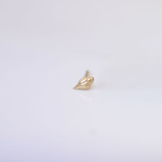Conch Shell Earring Stud in 14k gold