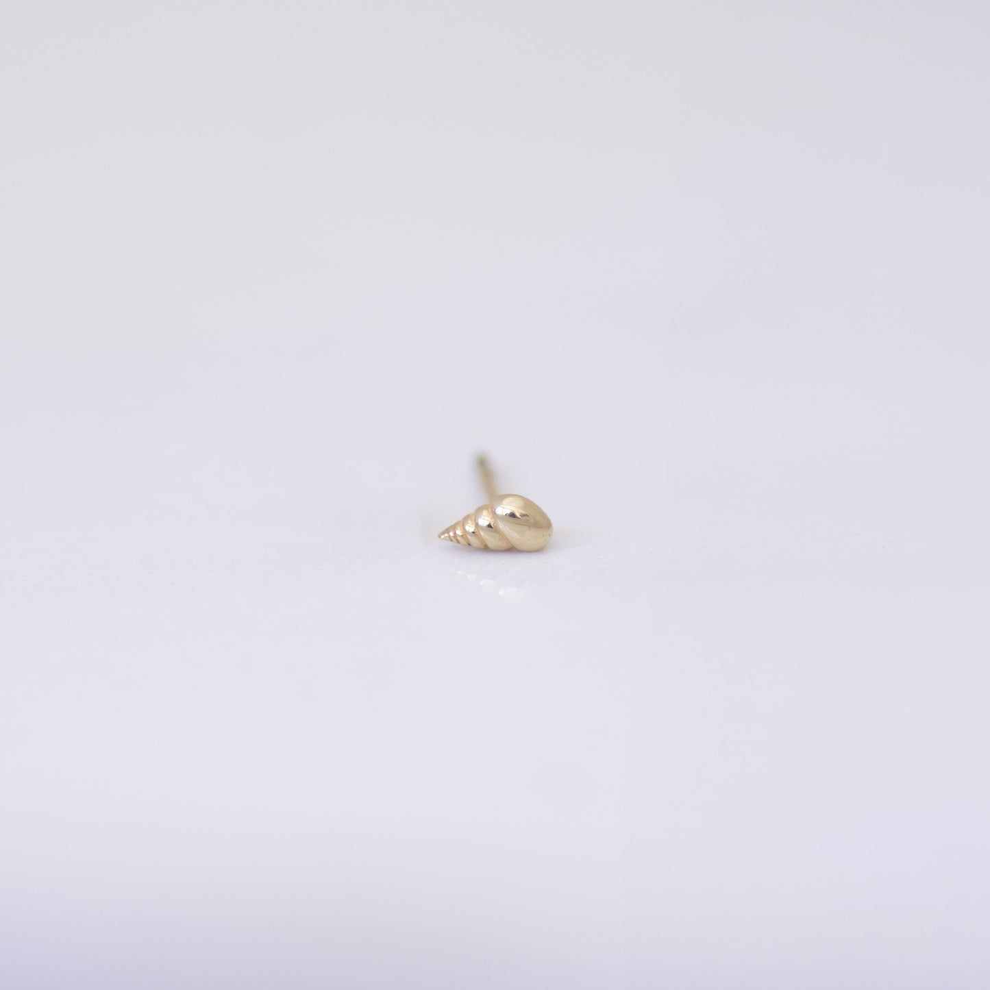 Spiral Shell Earring Stud in 14k gold