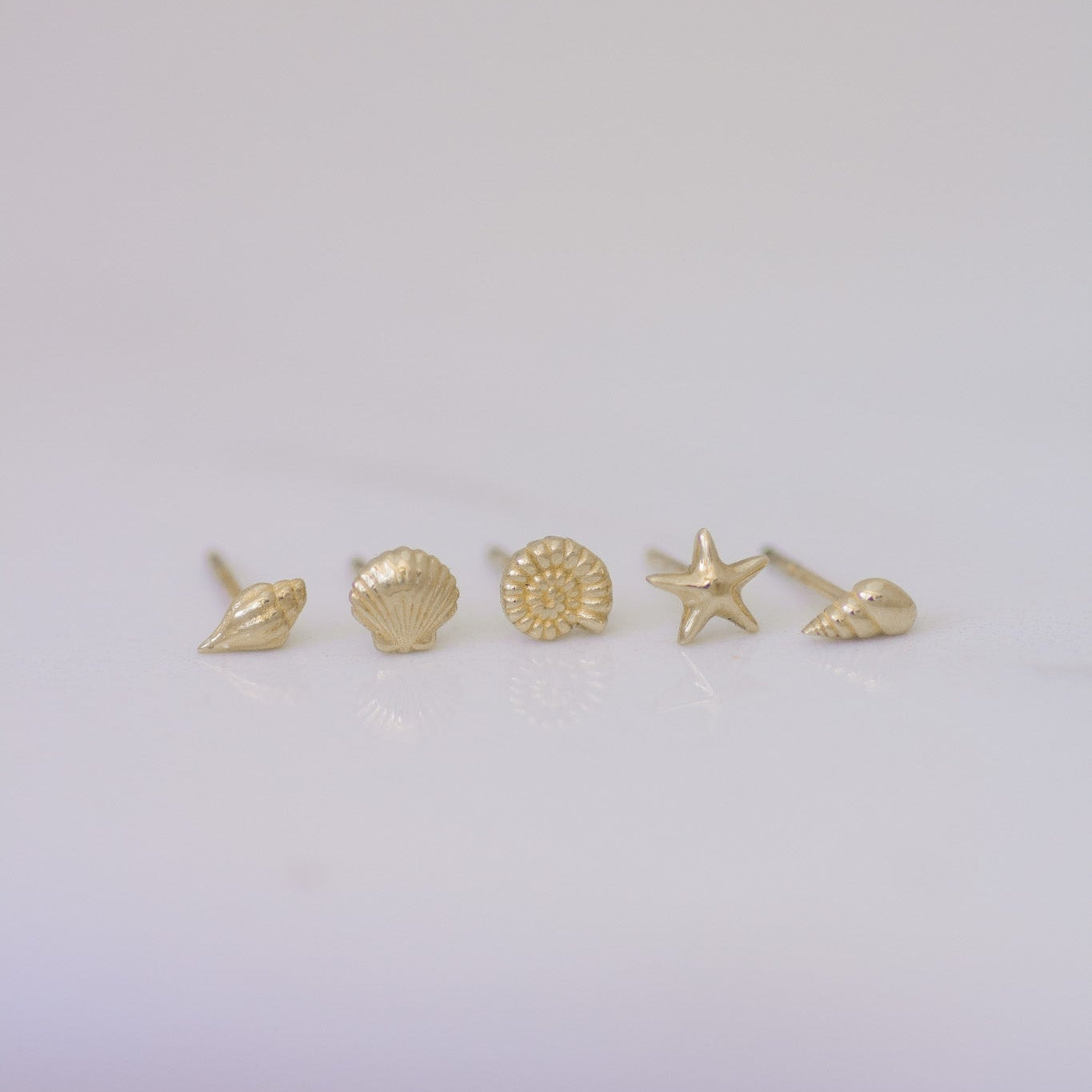 Mini Seashell Studs Set in 14k gold