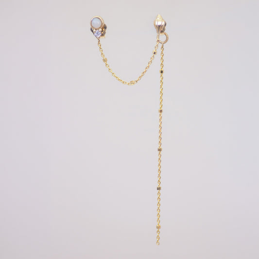 Conch Shell & Opal Chain Earrings in 14K Gold